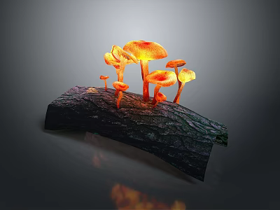 Glowing Orange Mushrooms Growing On Dark Tree Bark In Natural Scene 3d model