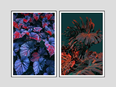 Botanical Paintings with Vibrant Colored Leaves and Tropical Foliage for Home Wall Decor 3d model