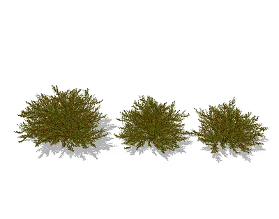 Bushy Green Shrubs For Garden Landscaping With Different Sizes And Lush Foliage 3d model