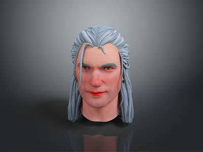 Realistic 3D Model of Male Head With Silver Gray Long Hair and Facial Features 3d model