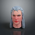 Realistic 3D Model of Male Head With Silver Gray Long Hair and Facial Features
