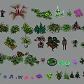 Diverse Collection of Decorative Potted Plants with Various Leaf Shapes and Flowers