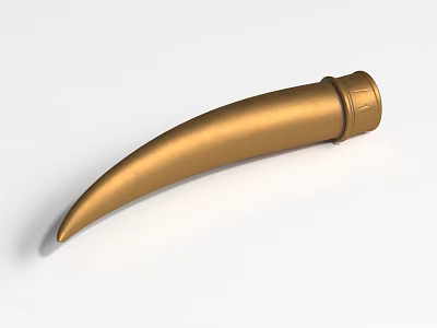 3D Golden Animal Tusk Organ Model With Smooth Surface And Hair 3d model