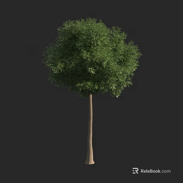 Lush Green Arbor Tree With Upright Trunk And Dense Canopy Leaves 3d model