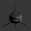Realistic Gray Shark With Streamlined Body And Sharp Fins In Marine Life
