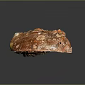 Shiny Aquatic Animal Shell With Rough Brownish Red Texture Protrusions And White Spots