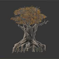 Ancient Tree With Thick Trunk Extensive Roots And Orange Yellow Foliage