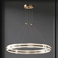 Modern Circular Ring Chandelier With Metallic Frame Multiple Layers And Sleek Design 3d model