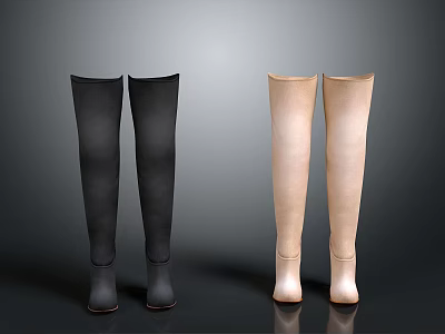 Essential Daily Life Footwear Black And Beige Over The Knee Boots For Women 3d model