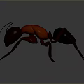 3D Rendered Metallic Ant With Black Red Body And Shiny Surface