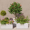 Square White Grid Flower Pots With Trees Shrubs And Colorful Flowering Plants For Garden Decoration
