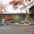 Night Courtyard Garden with Red Maple Trees Bamboo Fence Stones Lanterns Fallen Leaves Stone Paths