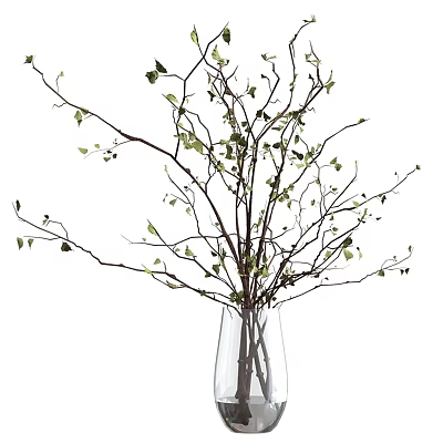 Decorative Transparent Glass Vase With Thin Branches And Small Green Leaves 3d model