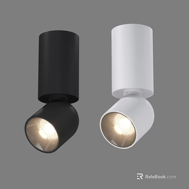 Modern Black And White Cylinder Downlight Spotlights With Warm Light For Indoor Home Lighting 3d model 