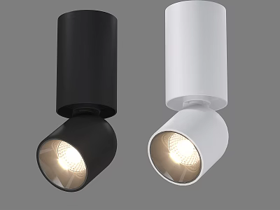 Modern Black And White Cylinder Downlight Spotlights With Warm Light For Indoor Home Lighting 3d model