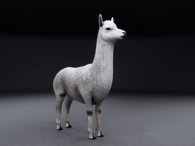 White Reptile Figurine Standing On Gray Surface With Dark Background 3d model