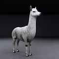 White Reptile Figurine Standing On Gray Surface With Dark Background 3d model