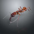 Detailed 3D Rendered Ant Close Up View Showing Body Antennae And Legs