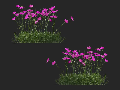 Vibrant Purple Flowers With Lush Green Grass Stems Against Dark Backdrop 3d model