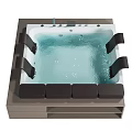 Modern Jacuzzi Bathtub with Water Jets Black Armrests and Wooden Base Bathroom Interior