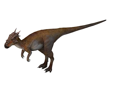 Realistic Brown Dinosaur With Frilled Head Long Tail Standing 3d model
