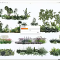 Various Shrubs Types for Garden Landscaping with Lush Green Foliage