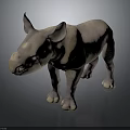 3D Model Of Baby Rhinoceros Standing With Gray And Light Brown Textured Skin