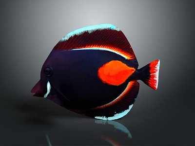 Tropical Fish Colorful Fish Ornamental Fish Aquarium Coral Fish Underwater Fish Color Fish Cartoon Fish Freshwater Fish 3d model