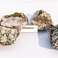 Natural Stone And Wood With Mossy Textured Surfaces For Decorative Use