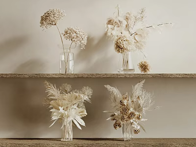Dried Flowers in Glass Vases Displayed on Wooden Shelves Against Light Colored Wall 3d model