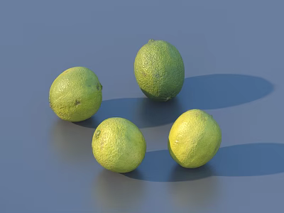 Four Fresh Green Limes Arranged on Gray Background with Soft Shadows 3d model
