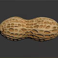 Detailed Whole Peanut With Natural Textured Shell On Black Reflective Surface