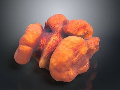 Orange Fleshy Fungus with Wrinkled Surface in Clumpy Shape on Dark Background 3d model