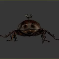 Isolated Maroon Horned Beetle with Detailed Legs on Dark Gradient Background