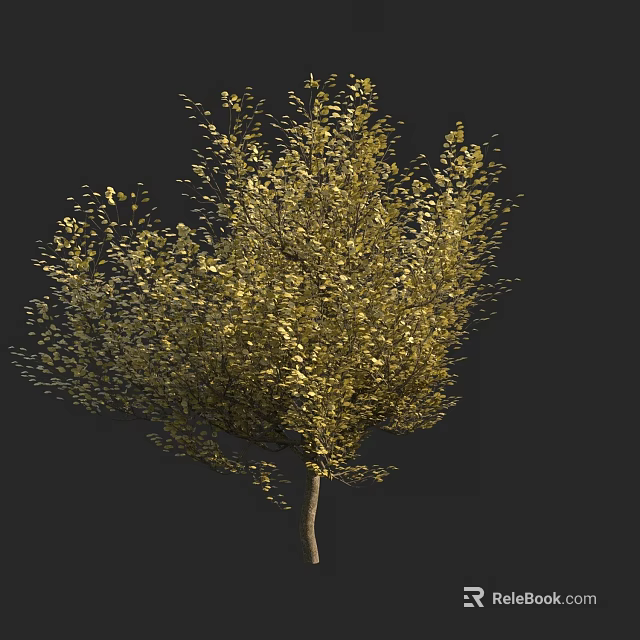 Golden Leaf Arbor With Dense Foliage And Slender Brown Trunk 3d model