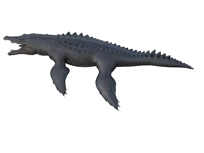 Prehistoric Aquatic Reptile With Elongated Body Spiked Back And Flipper Like Limbs 3d model