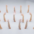 Multiplayer gesture arm combination female arm palm palm finger combination 3d model