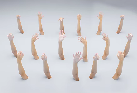 Multiplayer gesture arm combination female arm palm finger combination 3d model