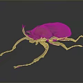 Realistic Horned Beetle With Brown Exoskeleton And Long Antennae On Dark Background