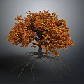 Vibrant Autumn Tree With Orange Red Leaves And Exposed Roots On Gray Background