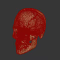 Anatomical Skull Model With Colored Sections For Medical Education And Study 3d model