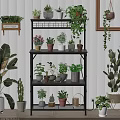 Multi Tiered Black Metal Plant Stand with Colorful Potted Green Flowering Plants Indoor