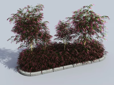 Vibrant Purple Leaved Trees And Low Purple Plants In Stone Flower Bed 3d model