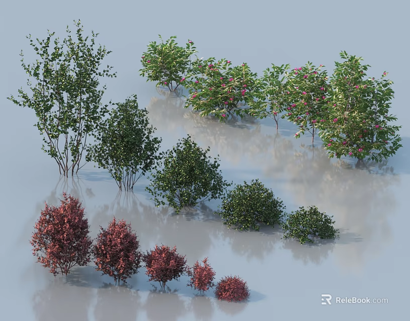 Various Types Of Shrubs With Different Colors And Various Shapes Arranged Together In Garden 3d model 