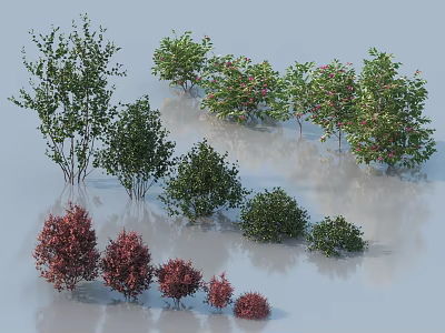 Various Types Of Shrubs With Different Colors And Various Shapes Arranged Together In Garden 3d model