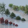 Various Types Of Shrubs With Different Colors And Various Shapes Arranged Together In Garden