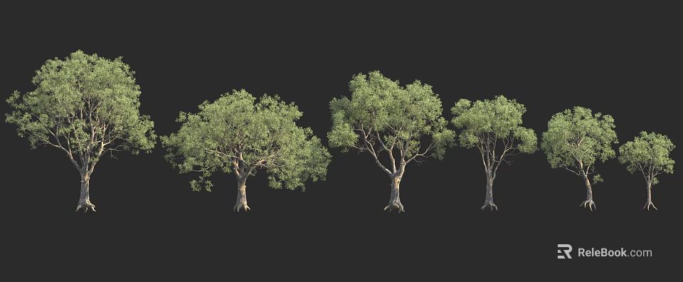 Three Green Leaf Trees With Natural Foliage Against Black Background 3d model
