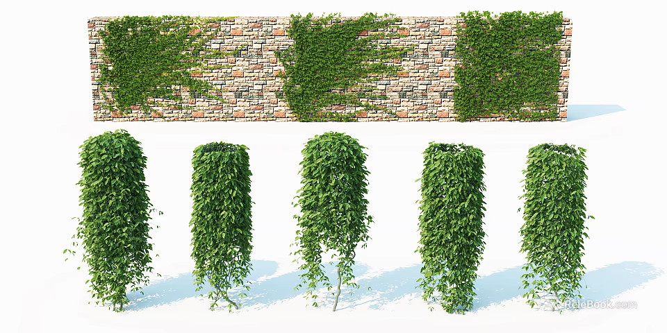 Green Vines Growing On Stone Wall With Lush Foliage And Hanging Branches 3d model 
