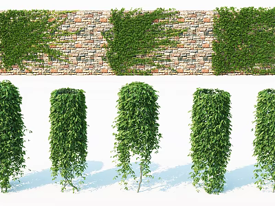 Green Vines Growing On Stone Wall With Lush Foliage And Hanging Branches 3d model