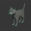 Gray Cat With Yellow Eyes Standing On Reflective Surface In Dark Background